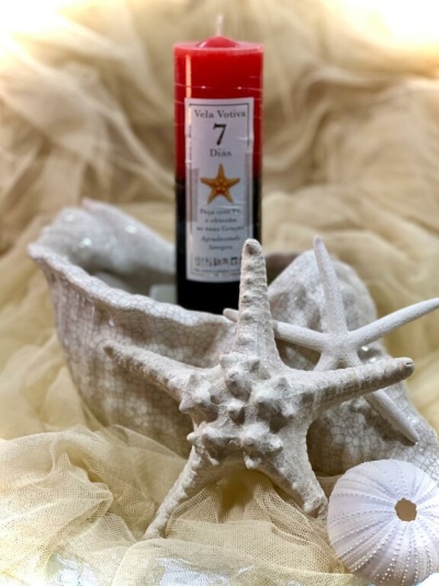 Vela votiva vermelha e preta dentro de concha branca junto a estrelas do mar e ouriço branco