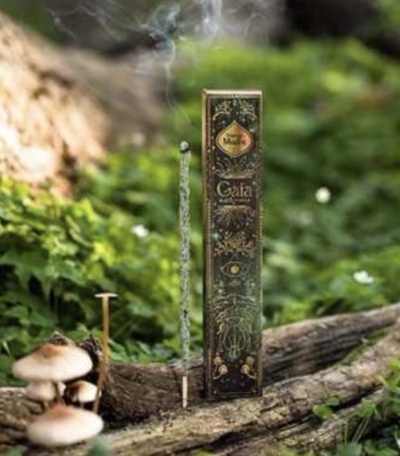 Caixa decorativa de incenso Gaia com incenso aceso num ambiente natural com vegetação e cogumelos