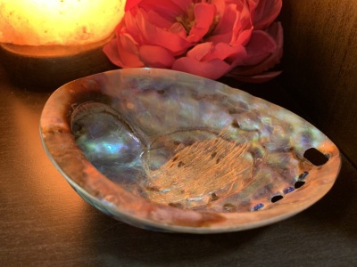 Prato decorativo de concha iridescente com flor vermelha e luz quente ao fundo