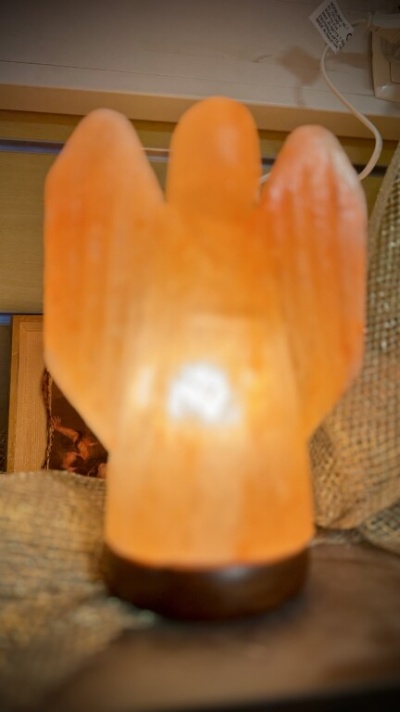 Lâmpada decorativa de cristal sal grosso em forma de cacto iluminada