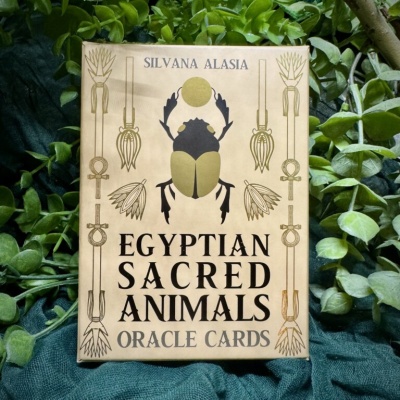 Caixa bege de cartas oracle com escaravelho dourado, texto Egyptian Sacred Animals Oracle Cards e folhas verdes ao redor