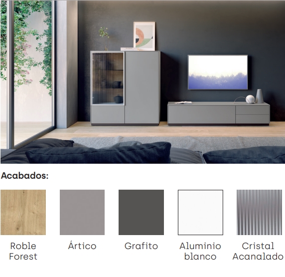 Living room furniture 1