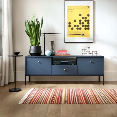 Móvel azul escuro com plantas e decoração num ambiente interior com chão de madeira e tapete colorido