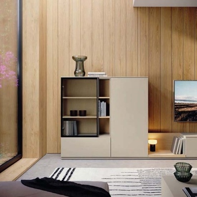 Móvel de armazenamento moderno em madeira clara com portas em vidro numa sala com parede de madeira.