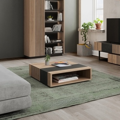 Sala de estar moderna com móveis de madeira clara e painéis pretos, mesa de centro, estante, móvel de TV, planta em vaso e tapete verde