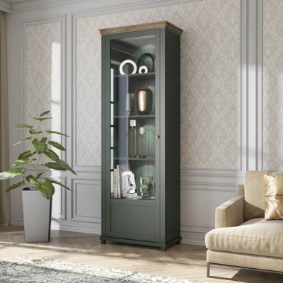 Vitrine alta verde escuro com porta de vidro em sala com sofá e planta