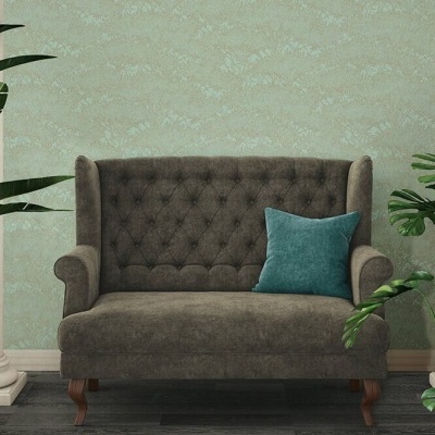 Sofá clássico cinza com almofada verde e plantas ao redor