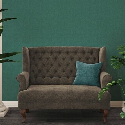 Sofá castanho capitonê com almofada azul e plantas verdes