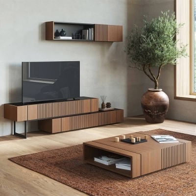 Sala com móveis de madeira listrados, planta em vaso grande e janela