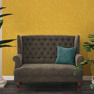 Sofá cinza escuro com almofada azul numa sala com paredes amarelas e plantas verdes