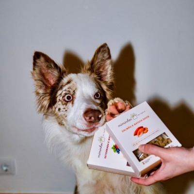 Cão com pata numa caixa de snacks para cães miminhos DE AMOR sabores salmão e batata doce e beterraba e mir