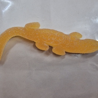 Doce em forma de lagarto laranja com textura de açúcar sobre fundo branco