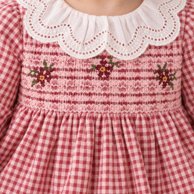 Vestido rosa de quadrados com bordado floral e gola branca