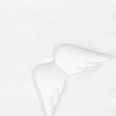 Tecido branco com bordado branco em forma de asa