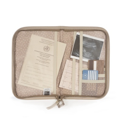 Organizador bege com documentos, ecografia e cartões