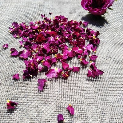 Pétalas de rosa secas cor de rosa em superfície cinzenta com uma rosa inteira ao lado