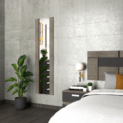 Espelho de corpo inteiro em ambiente de quarto com parede cinza e planta verde