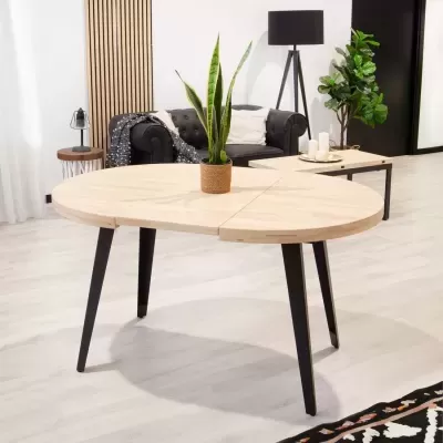 Mesa de madeira redonda com plantas e decoração numa sala moderna