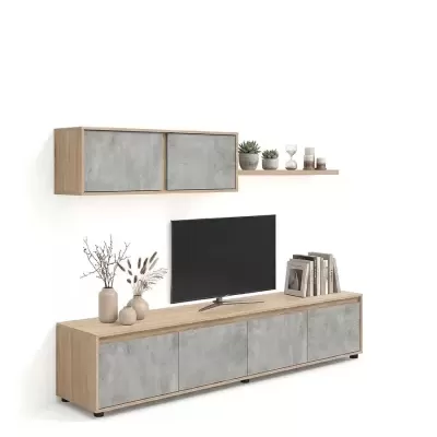 Móvel de sala com portas cinzentas e madeira clara, televisão, vasos, livros e prateleira com plantas e objetos decorativos