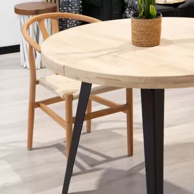 Mesa de jantar redonda em madeira clara com cadeira e planta