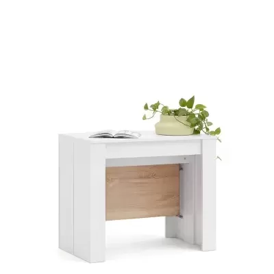 Mesa de centro branca com painel em madeira clara, livro aberto e vaso com planta verde em cima