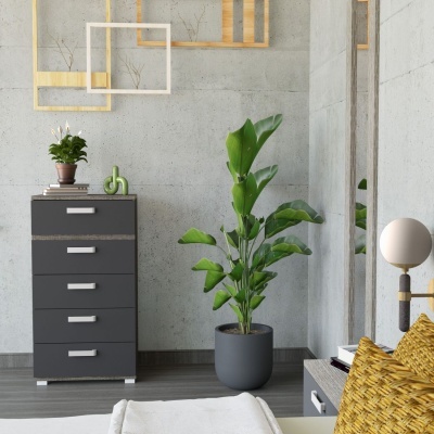 Cómoda cinza escuro com planta e decoração em parede cinza