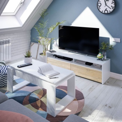 Sala de estar moderna com móveis em branco, tapete colorido e plantas