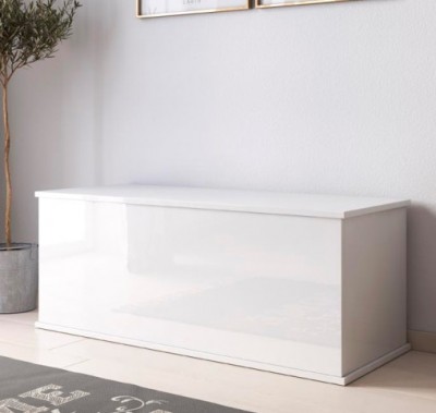 Baú de arrumação branco lacado com acabamento brilhante junto a parede branca com planta num vaso cinzento.