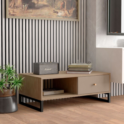 Mesa baixa de madeira bege com rádio Marshall, livros e planta ao lado