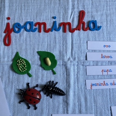 Material educativo com letras de tecido coloridas e figuras de joaninha e etapas do inseto sobre toalha azul clara