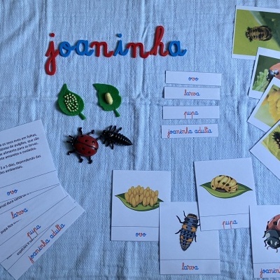 Cartões educativos e modelos táteis de joaninhas e insetos sobre pano branco