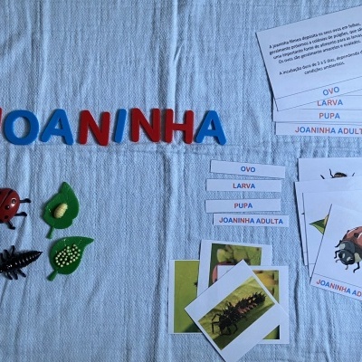 Jogo educativo com letras coloridas, figuras de joaninhas e cartões didáticos sobre tecido branco