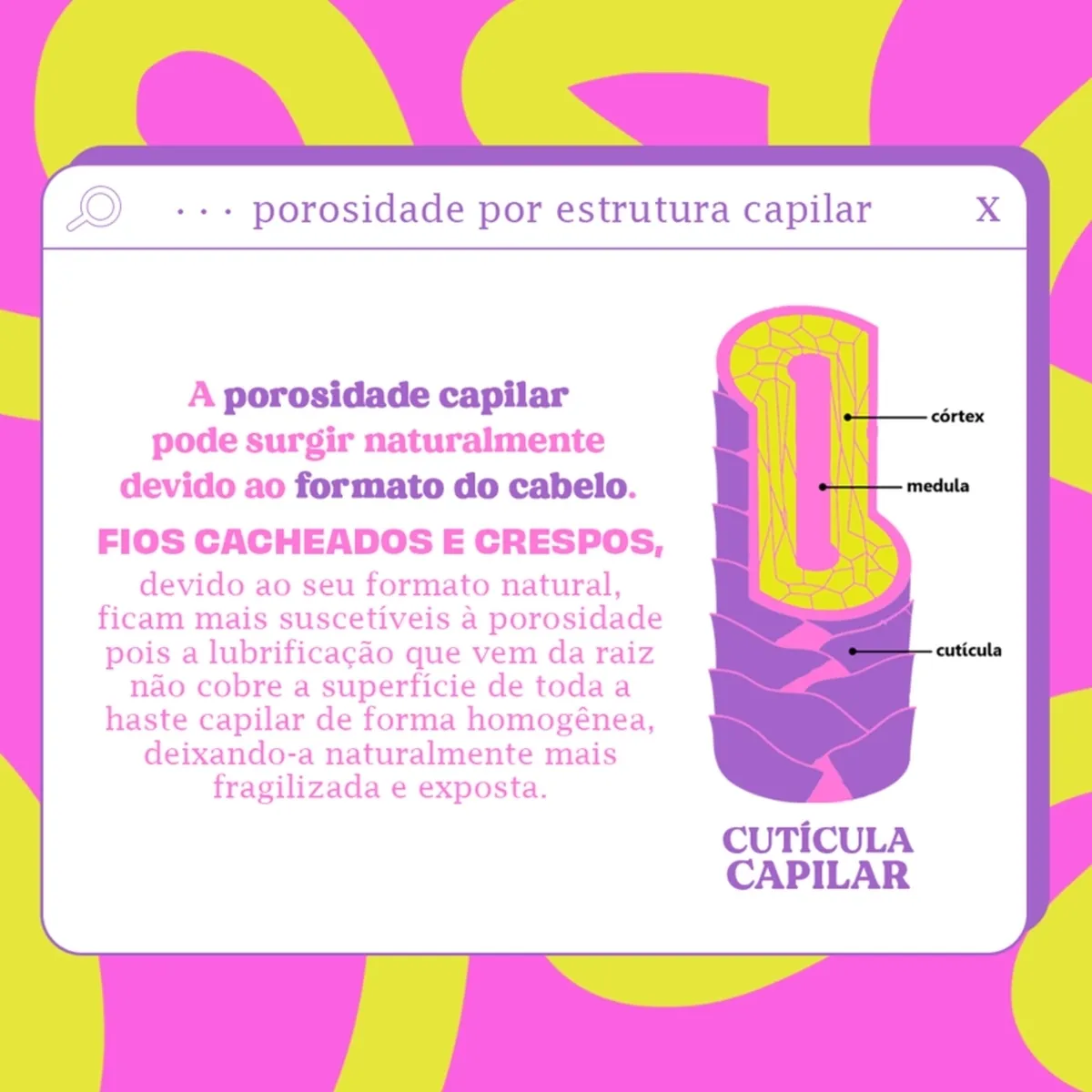 Diagrama e texto sobre porosidade capilar e estrutura do cabelo