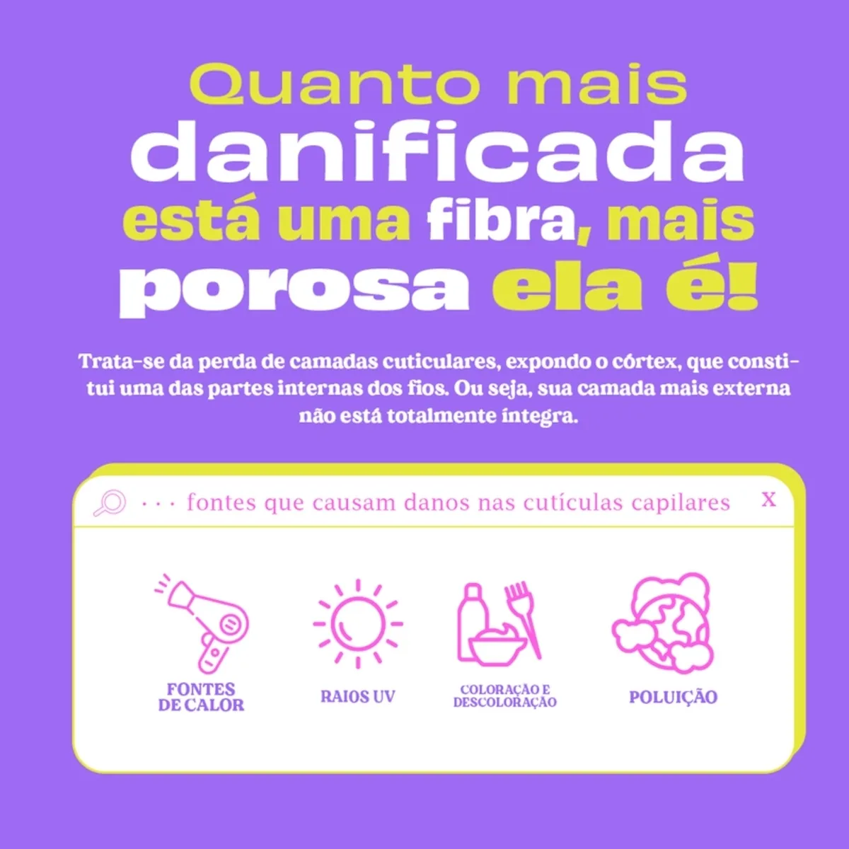 Texto explicativo sobre cabelo danificado com ícones representando fontes de calor, raios UV, coloração e poluição.