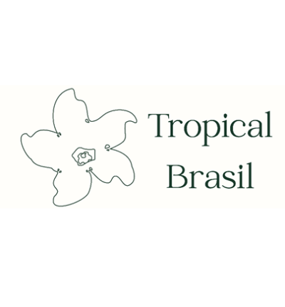 Desenho de linha de flor com texto Tropical Brasil em verde sobre fundo creme.