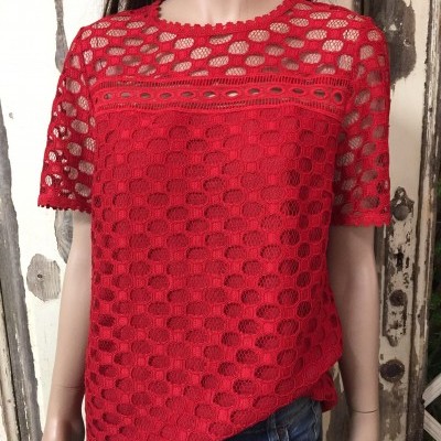 https://www.amelymoda.com/product/blusa-de-renda-2