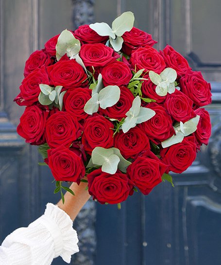 Ramo grande de rosas vermelhas naturais com folhas verdes claras