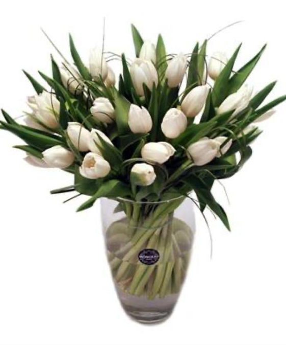 Arranjo de 20 tulipas brancas num vaso de vidro com rótulo MONCEAU FLEURS