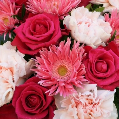 Bouquet colorido de rosas vermelhas, cravos brancos com rosa e crisântemos rosas