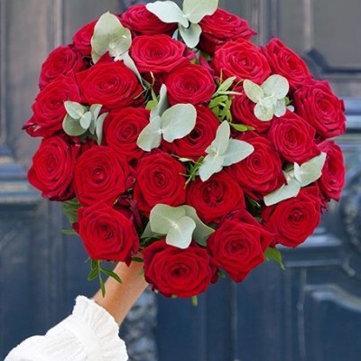 Ramo grande de rosas vermelhas naturais com folhas verdes claras