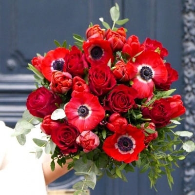 Bouquet de flores vermelhas com folhagem verde, mão segurando.