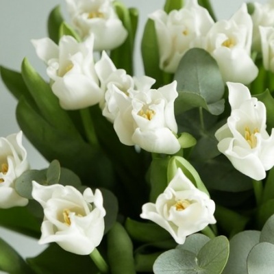 Ramo de flores brancas com folhas verdes e cinza-esverdeadas