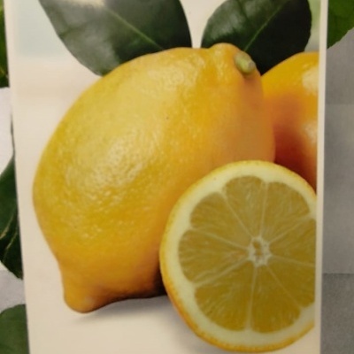 Pacote de sementes ou árvore de limão com fruta amarela e folhas verdes