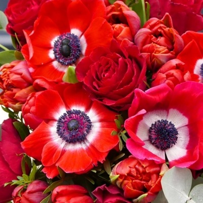 Bouquet colorido de flores vermelhas, brancas e verdes