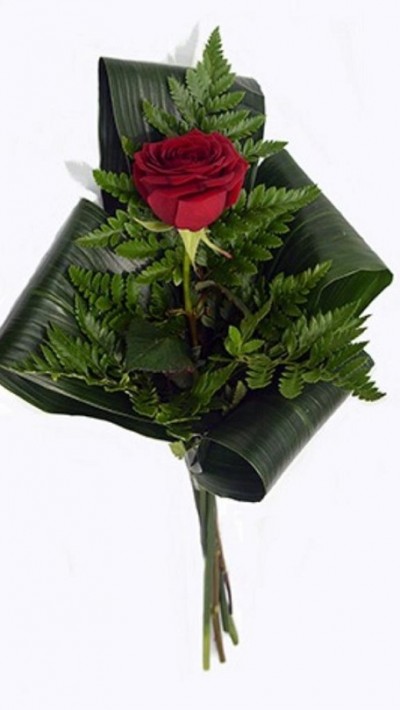 Buquê com rosa vermelha e folhas verdes