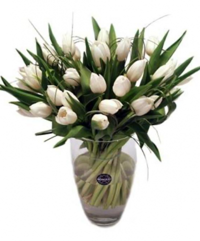 Arranjo de 20 tulipas brancas num vaso de vidro com rótulo MONCEAU FLEURS