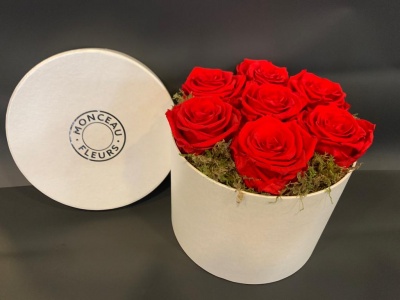 Caixa branca redonda com sete rosas vermelhas e musgo verde