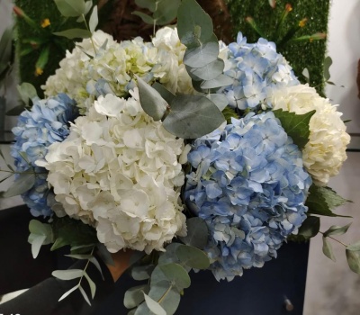 Bouquê de hortênsias azuis e brancas com folhas verdes e cinza