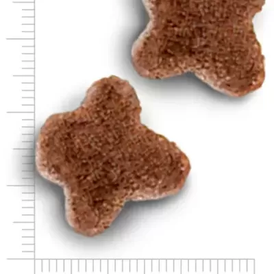 Duas bolachas secas para animais em forma de X castanhas com régua de medição.