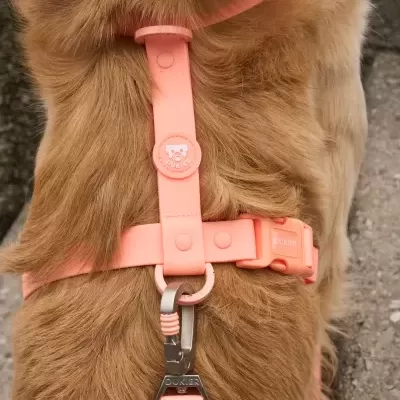 Coleira peitoral cor-de-rosa para cão com fivela e argola metálica